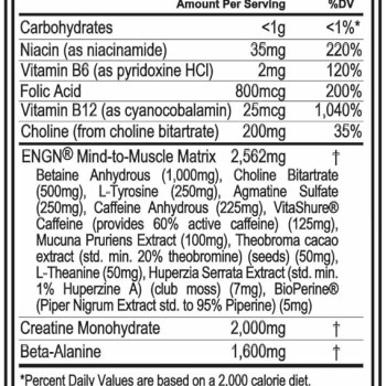 ENGN Pre-Workout Evlution Nutrition