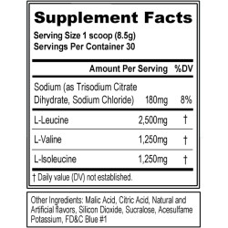 Evlution Nutrition BCAA 5000 Powder Evlution Nutrition BCAA 5000 Powder