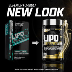Lipo 6 Black Hers Ultra Concentrate  Lipo 6 Black Hers Ultra Concentrate