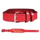 No Pain No Gain belt