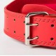 No Pain No Gain belt