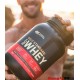 Optimum Nutrition Gold Standard Whey Protein 2lbs New Container