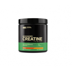 Optimum Nutrition Creatine Monohydrate Flavor Optimum Nutrition Creatine Monohydrate Flavor