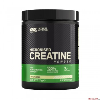 Optimum Nutrition Micronised Creatine 93 Servings Optimum Nutrition Micronised Creatine 93 Servings