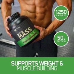 Serious Mass Weight Gainer 6lbs Serious Mass Weight Gainer 6lbs