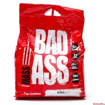 BadAss Mass Gainer 7kg